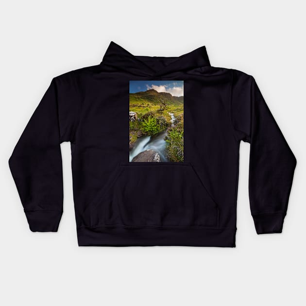 Craig Cerrig-gleisiad, Brecon Beacons National Park Kids Hoodie by dasantillo